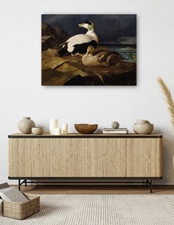 Foto 5 | Cuadro Decorativo - Par De Eiders Comunes Sobre Una Roca (1869)- Ferdinand Von Wright - Religión - 69x92 - Fine Art Tj