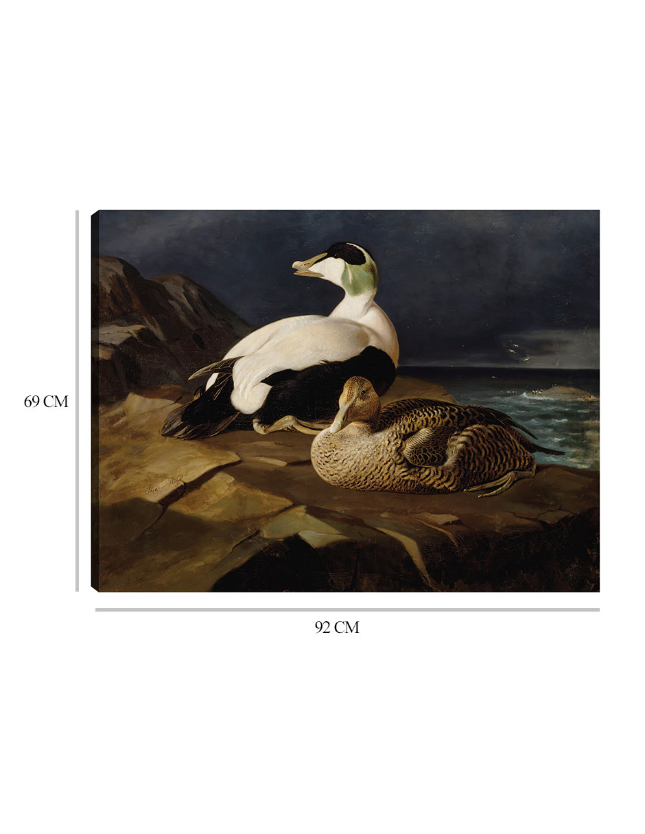 Foto 7 pulgar | Cuadro Decorativo - Par De Eiders Comunes Sobre Una Roca (1869)- Ferdinand Von Wright - Religión - 69x92 - Fine Art Tj