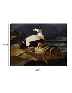 Foto 6 | Cuadro Decorativo - Par De Eiders Comunes Sobre Una Roca (1869)- Ferdinand Von Wright - Religión - 69x92 - Fine Art Tj