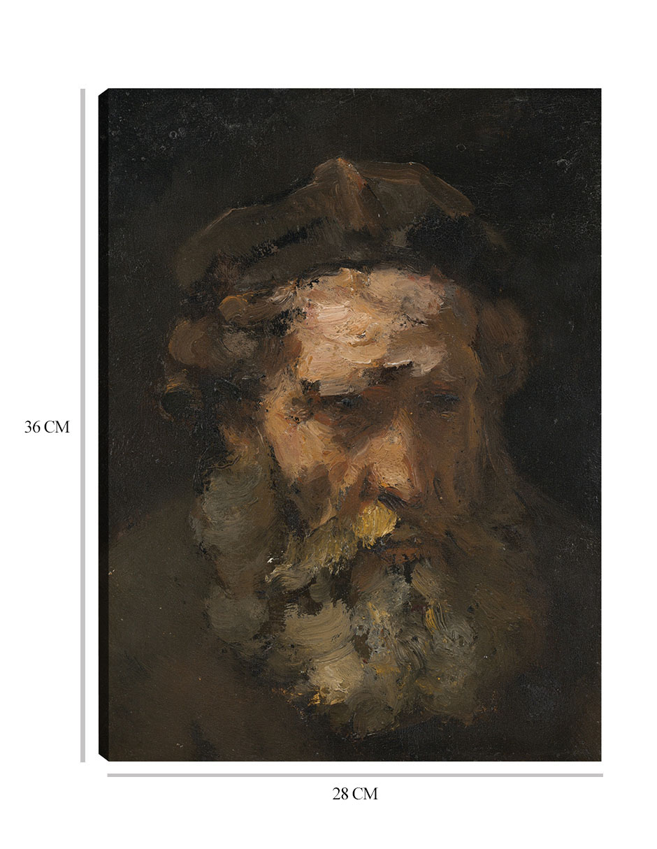 Foto 7 pulgar | Cuadro Decorativo - Cabeza De San Mateo - Rembrandt Van Rijn - 28x36 - Fine Art Tj