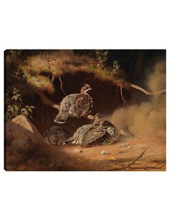 Foto 1 | Cuadro Decorativo - Urogallo Revolcandose En La Arena (1877)- Ferdinand Von Wright - Religión - 28x36 - Fine Art Tj