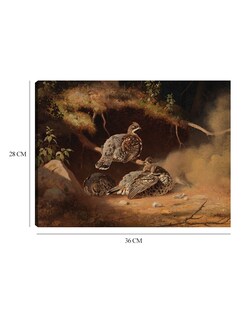 Foto 6 | Cuadro Decorativo - Urogallo Revolcandose En La Arena (1877)- Ferdinand Von Wright - Religión - 28x36 - Fine Art Tj