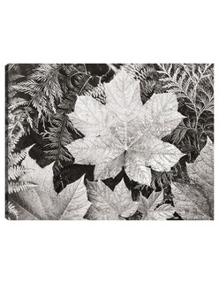Foto 1 | Cuadro Decorativo - En El Parque Nacional Glacier, Cerca De Hojas- Ansel Adams - Religión - 28x36 - Fine Art Tj
