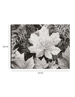 Foto 6 | Cuadro Decorativo - En El Parque Nacional Glacier, Cerca De Hojas- Ansel Adams - Religión - 28x36 - Fine Art Tj