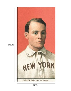 Foto 6 | Cuadro Decorativo - Kid Elberfeld, New York Highlanders, Retrato De Tarjeta De Béisbol- Library Of Congress - 5