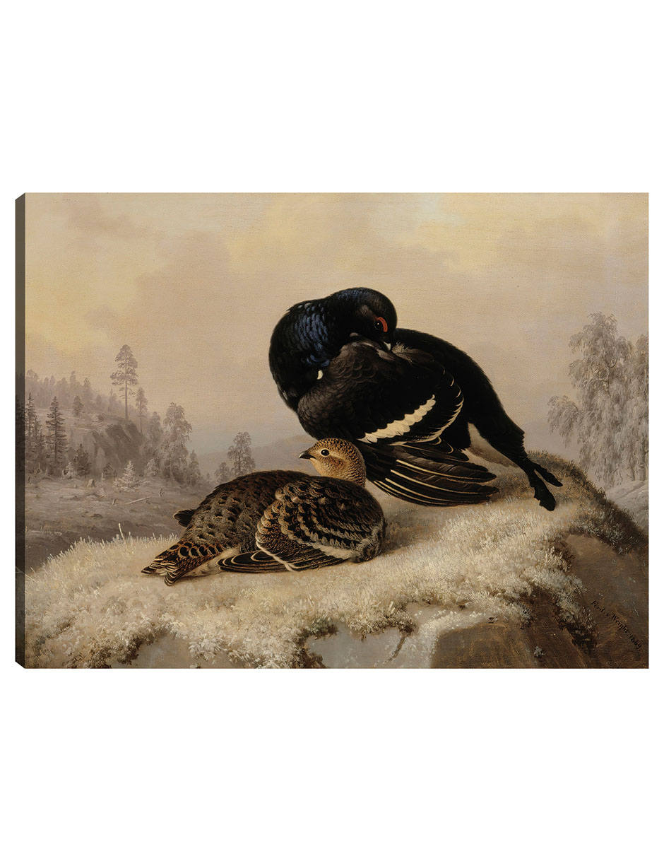 Foto 1 | Cuadro Decorativo - Urogallo Negro, Gallo Y Gallina (1869)- Ferdinand Von Wright - Religión - 46x61 - Fine Art Tj