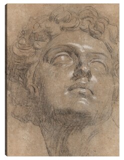 Foto 1 | Cuadro Decorativo - Cabeza De Giuliano De Medici, Después De Miguel Ángel- Jacopo Tintoretto - Fotografía - 46