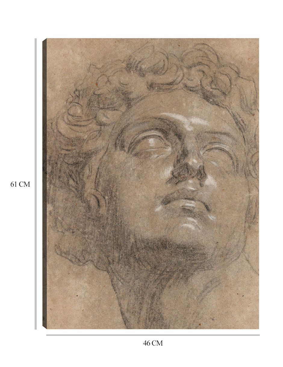 Foto 7 pulgar | Cuadro Decorativo - Cabeza De Giuliano De Medici, Después De Miguel Ángel- Jacopo Tintoretto - Fotografía - 46