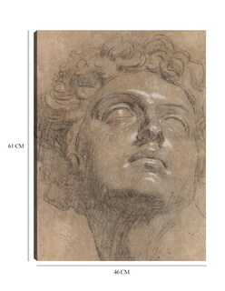 Foto 6 | Cuadro Decorativo - Cabeza De Giuliano De Medici, Después De Miguel Ángel- Jacopo Tintoretto - Fotografía - 46