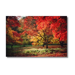 Foto 2 | Cuadro Decorativo Paisaje Bosque Otoñal 143cm X 89cm Marco Madera