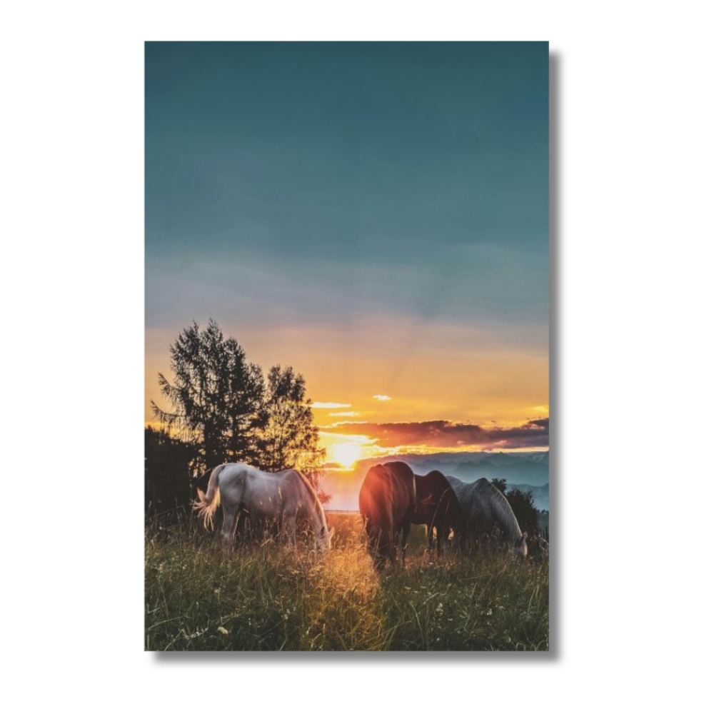 Foto 2 | Cuadro Decorativo Paisaje Caballos 143cm X 89cm Marco Madera