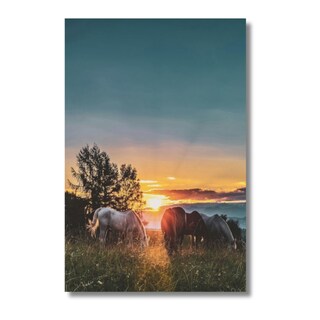 Foto 2 | Cuadro Decorativo Paisaje Caballos 143cm X 89cm Marco Madera