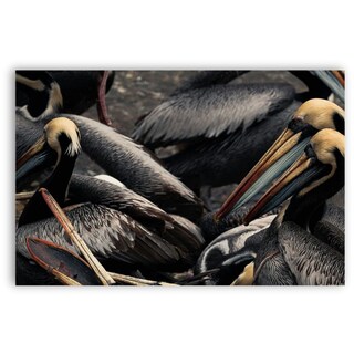 Foto 2 | Cuadro Decorativo Animales Pelicanos 143cm X 89cm Tela Brillante Marco Madera