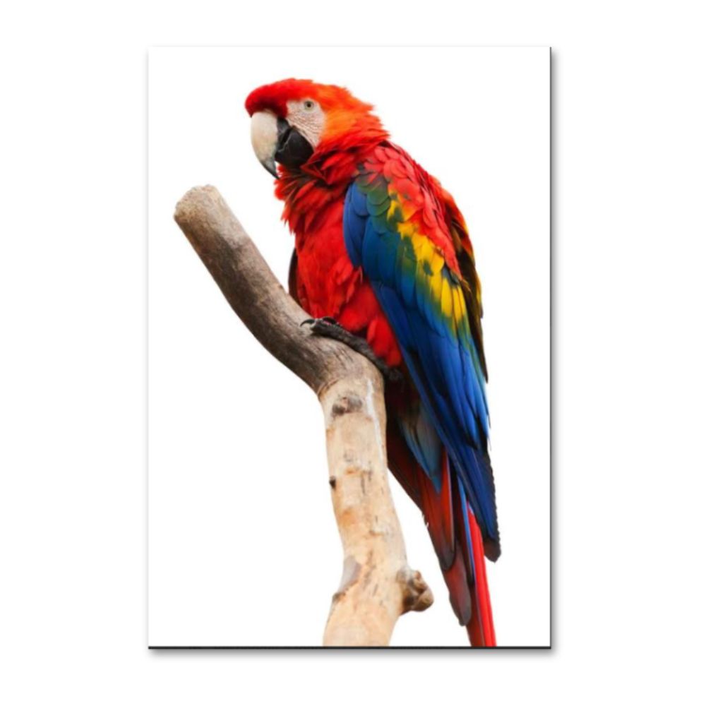 Foto 2 | Cuadro Decorativo Animales Guacamayo 143cm X 89cm Tela Brillante Marco Madera