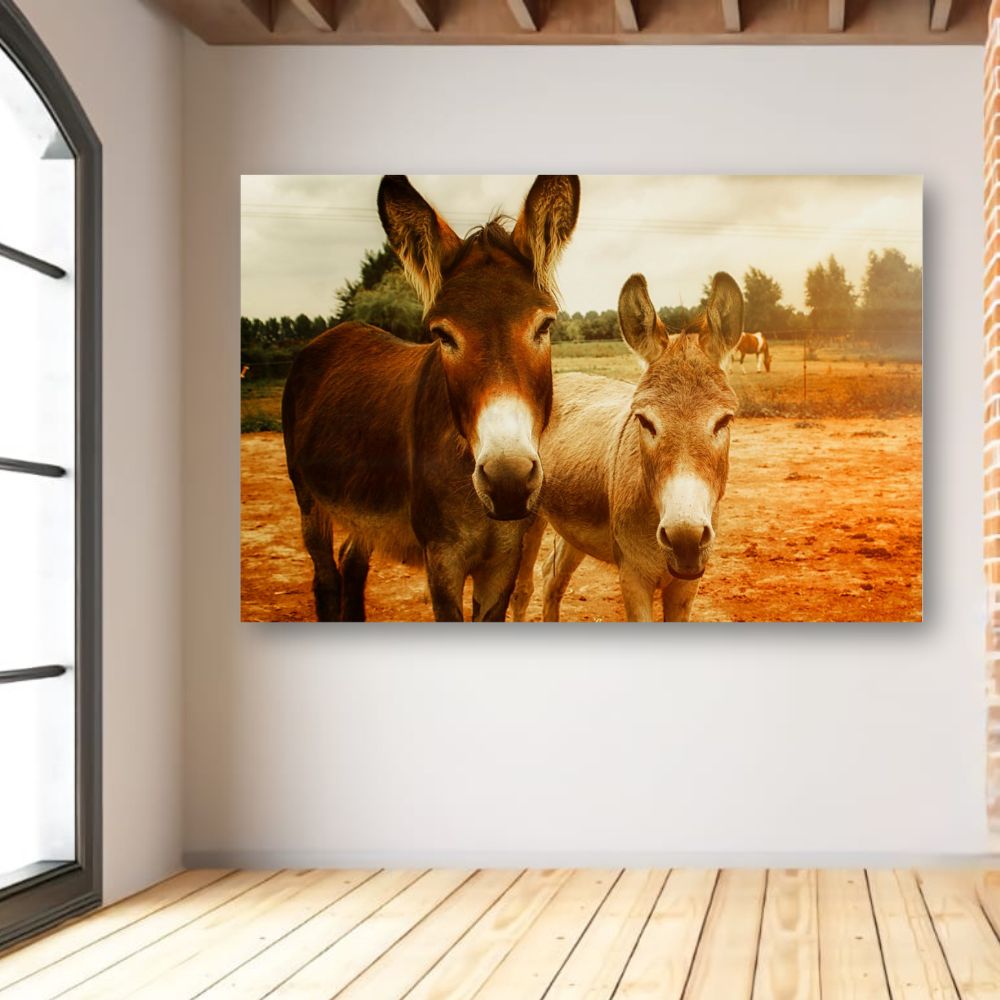 Cuadro Decorativo Animales Burros 143cm X 89cm Tela Brillante Marco Madera