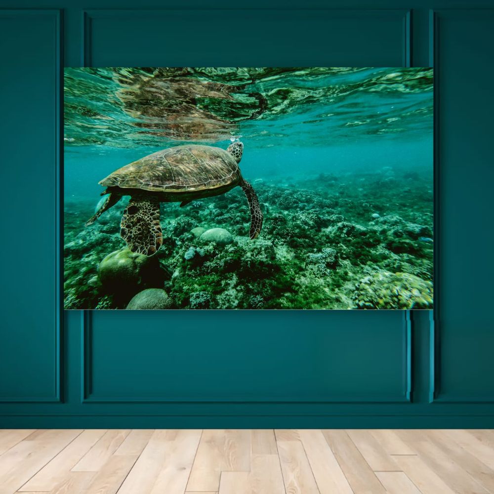 Cuadro Decorativo Animales Tortugas 143cm X 89cm Tela Brillante Marco Madera