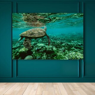 Foto 1 | Cuadro Decorativo Animales Tortugas 143cm X 89cm Tela Brillante Marco Madera