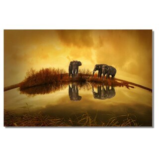 Foto 2 | Cuadro Decorativo Animales Elefantes 143cm X 89cm Tela Brillante Marco Madera