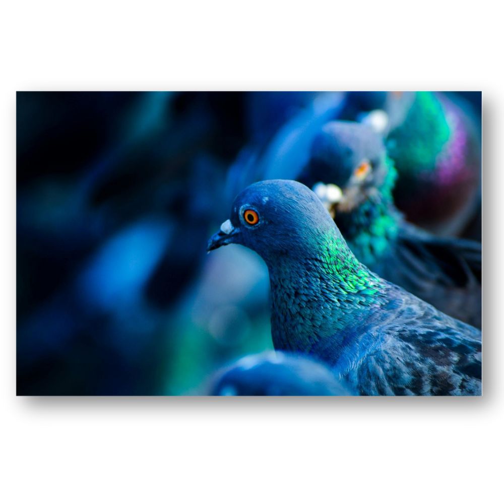 Foto 2 | Cuadro Decorativo Animales Palomas 143cm X 89cm Tela Brillante Marco Madera