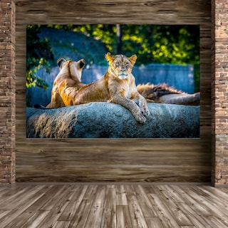 Foto 1 | Cuadro Decorativo Animales Leones 143cm X 89cm Tela Brillante Marco Madera