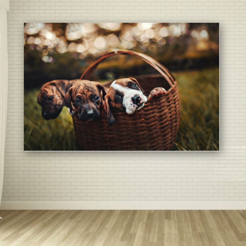 Cuadro Decorativo Animales Perritos 143cm X 89cm Tela Brillante Marco Madera