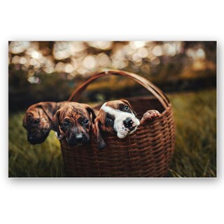 Foto 2 | Cuadro Decorativo Animales Perritos 143cm X 89cm Tela Brillante Marco Madera