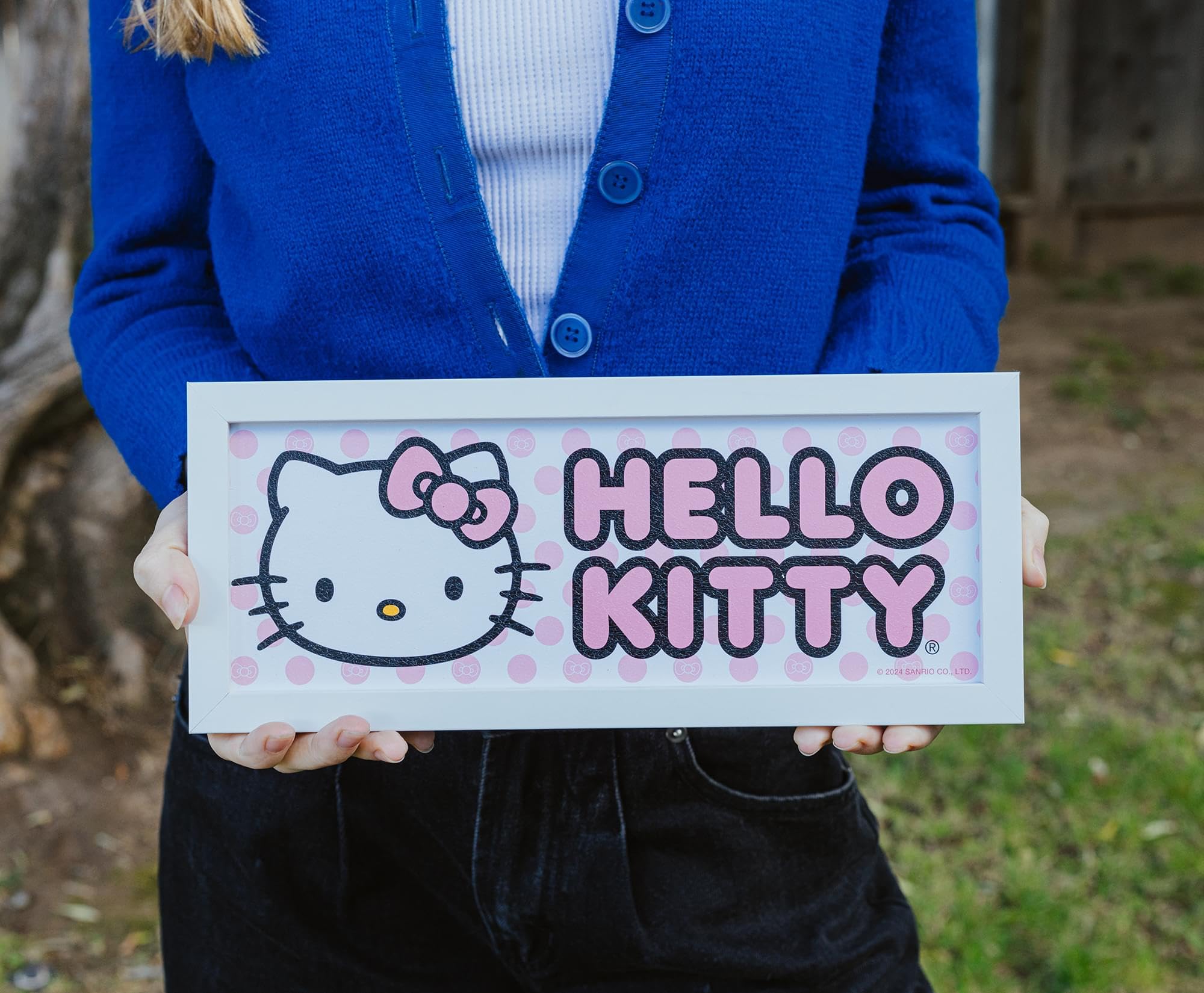 Foto 5 pulgar | Decoración Mural Sanrio Hello Kitty Rosa Con Marco De Madera De Densidad Media  30 X 12 Cm - Venta Internacional.