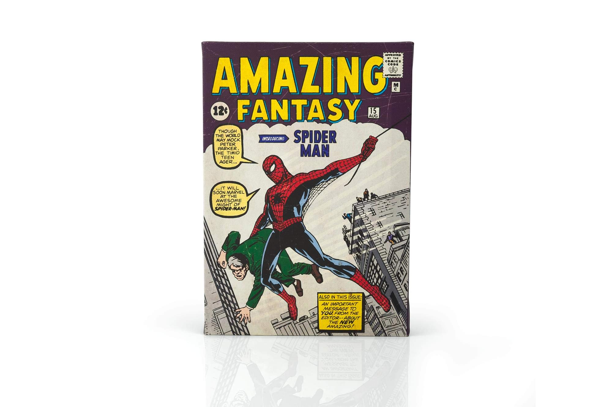 Lienzo Spider-man Amazing Fantasy #15 Comic Book - Venta Internacional.