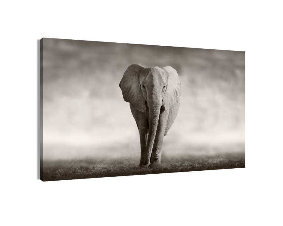 Foto 2 pulgar | Cuadro Decorativo Entelado 70x120cm Elefante Majestuoso Elegancia y Fuerza en tu Espacio