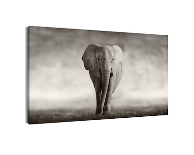 Foto 1 | Cuadro Decorativo Entelado 70x120cm Elefante Majestuoso Elegancia y Fuerza en tu Espacio