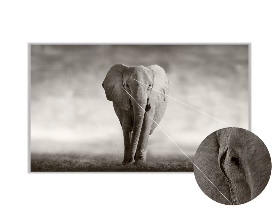 Foto 4 pulgar | Cuadro Decorativo Entelado 70x120cm Elefante Majestuoso Elegancia y Fuerza en tu Espacio