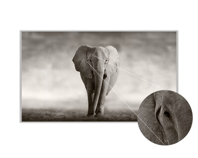 Foto 3 | Cuadro Decorativo Entelado 70x120cm Elefante Majestuoso Elegancia y Fuerza en tu Espacio