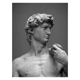 Foto 1 | Cuadro Entelado El David 100x150 Cuadros Cuadros