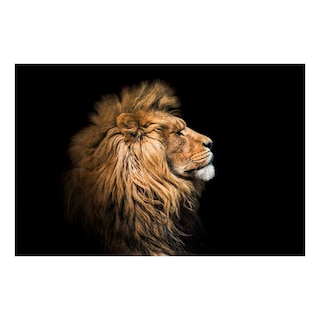 Foto 1 | Cuadro Entelado The Lion 100x150 Cm Cuadros Cuadros