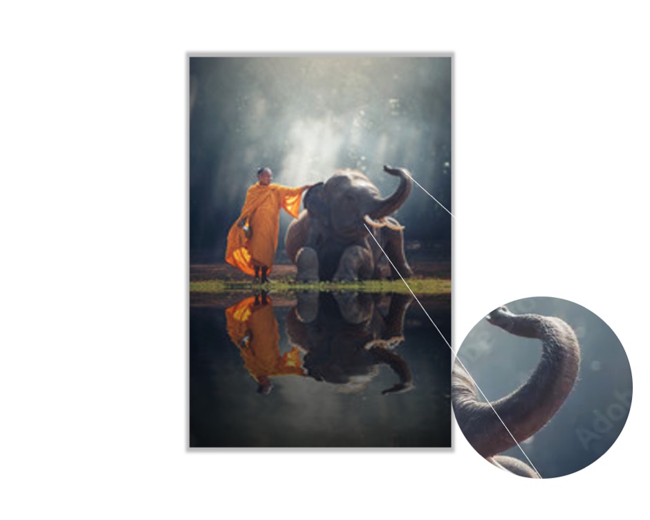 Foto 4 pulgar | Cuadro Decorativo Entelado 100x150cm Monje y Elefante en el Campo de Tailandia Conexión Espiritual y Natural