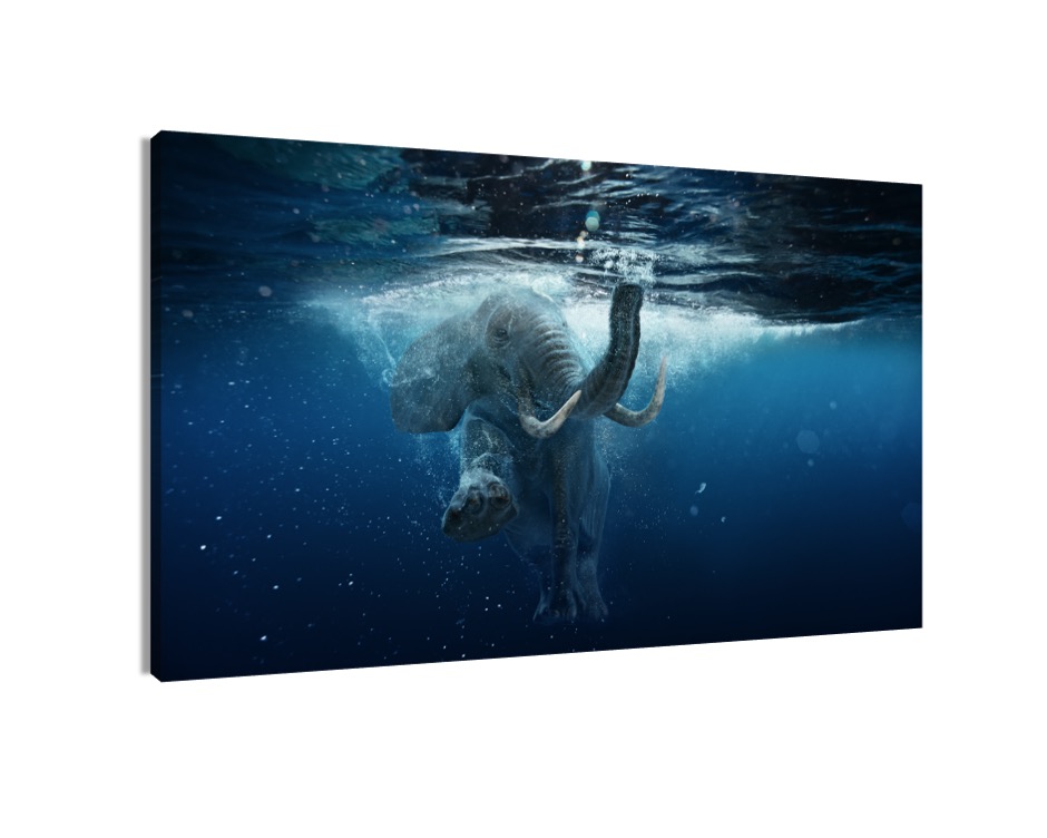 Foto 2 pulgar | Cuadro Decorativo Entelado 70x120cm Elefante Africano Nadando bajo el Agua Magia y Naturaleza