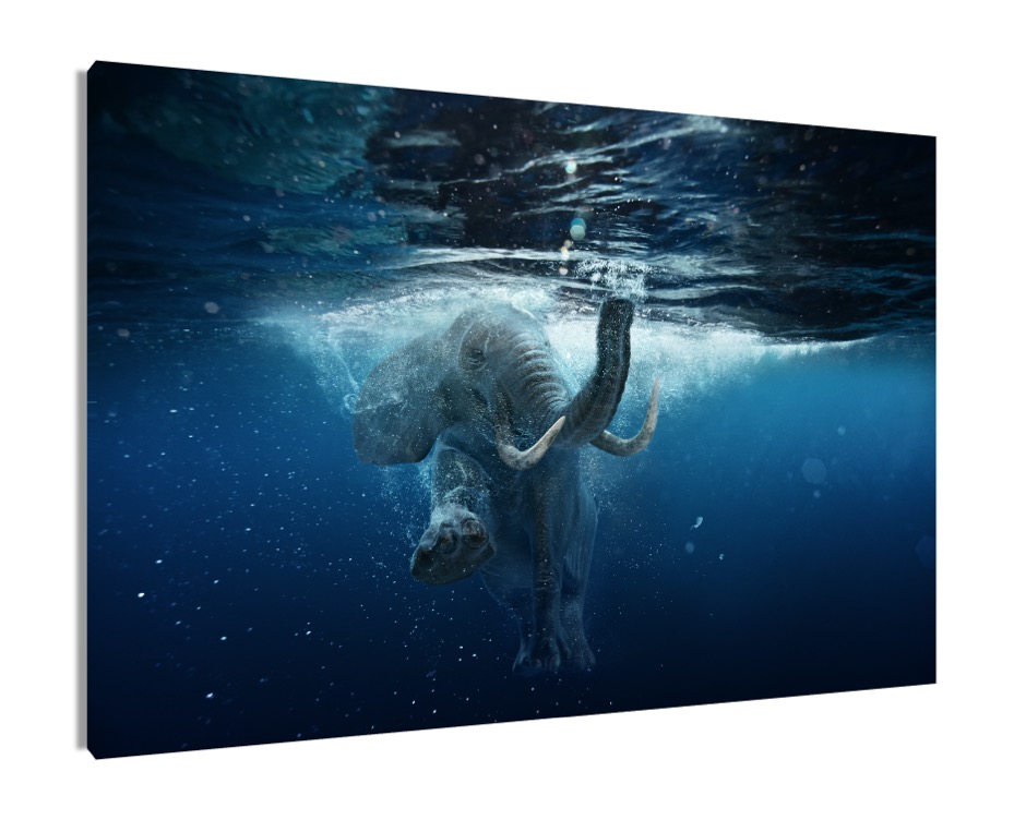 Foto 2 pulgar | Cuadro Decorativo Entelado 100X150cm Elefante Africano Nadando bajo el Agua, Magia y Naturaleza