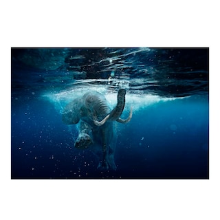 Foto 1 | Cuadro Decorativo Entelado 100X150cm Elefante Africano Nadando bajo el Agua, Magia y Naturaleza