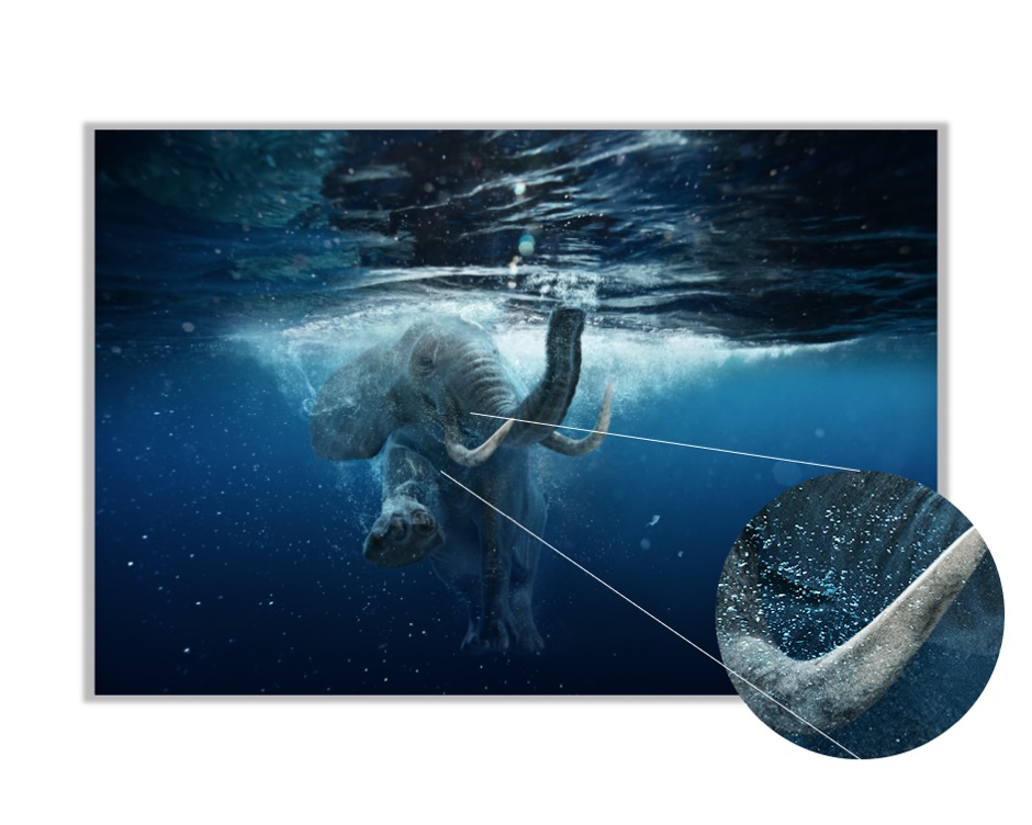 Foto 4 pulgar | Cuadro Decorativo Entelado 100X150cm Elefante Africano Nadando bajo el Agua, Magia y Naturaleza