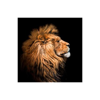 Foto 1 | Cuadro Entelado The Lion 70cmx120cm