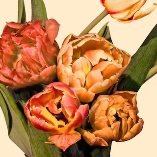 Foto 3 | Cuadro Entelado Tulipanes 100x150 Cuadros Cuadros - Multicolor