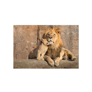 Foto 1 | Cuadro Entelado Lions 70cmx120cm