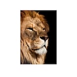 Cuadro Decorativo Enteldo León King 70x120cm