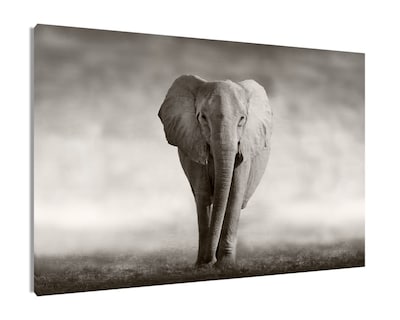 Foto 1 | Cuadro Decorativo Entelado 100X150 Elefante Majestuoso, Elegancia y Fuerza en tu Espacio