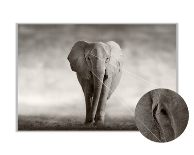 Foto 3 | Cuadro Decorativo Entelado 100X150 Elefante Majestuoso, Elegancia y Fuerza en tu Espacio