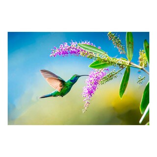 Foto 1 | Cuadro Entelado Colibrí 2 100x150 Cuadros Cuadros