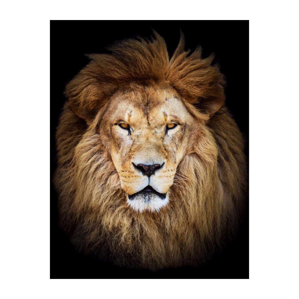 Foto 1 | Cuadro Entelado León 100x150
