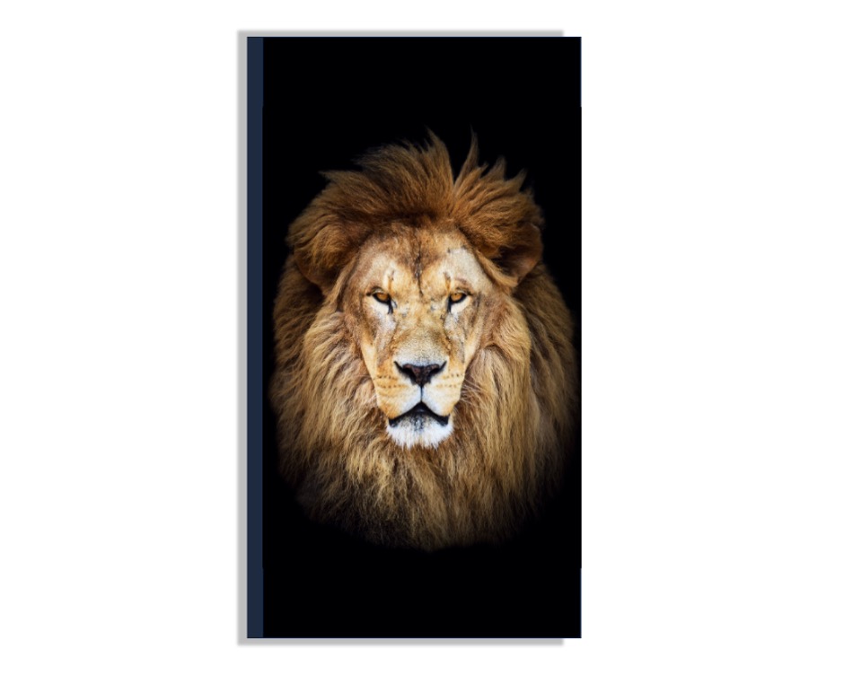 Retrato de un León Africano Cuadro Entelado 70x120 cm