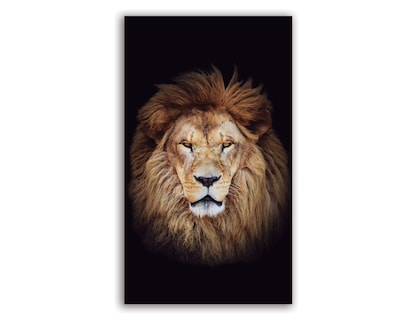 Foto 1 | Retrato de un León Africano Cuadro Entelado 70x120 cm