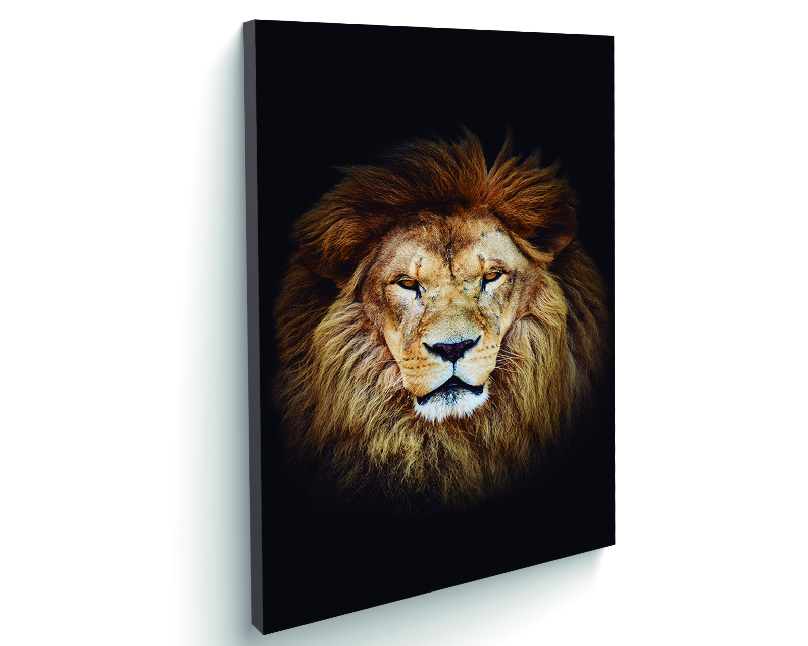 Foto 2 | Retrato de un León Africano Cuadro Entelado 70x120 cm